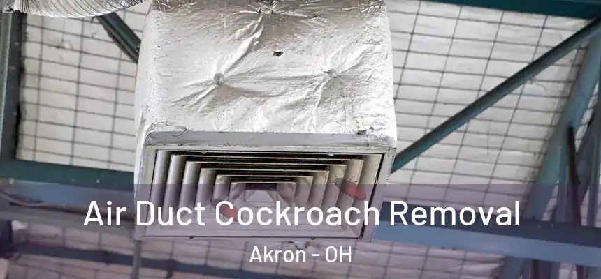 Air Duct Cockroach Removal Akron - OH