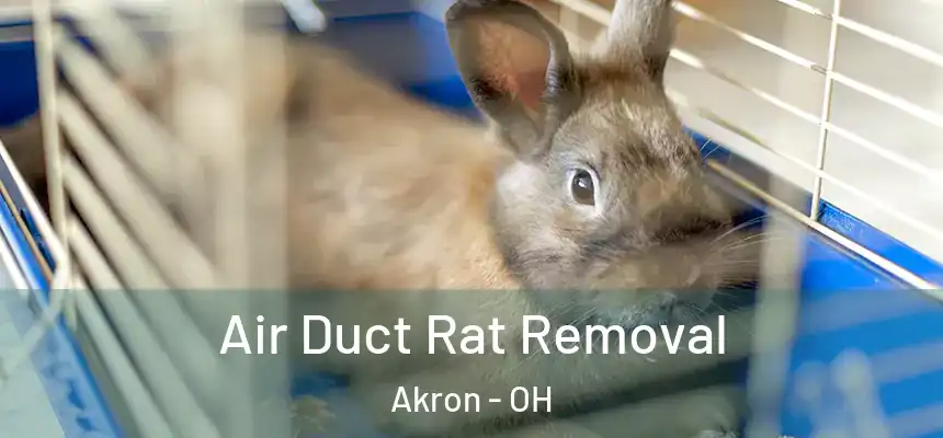 Air Duct Rat Removal Akron - OH