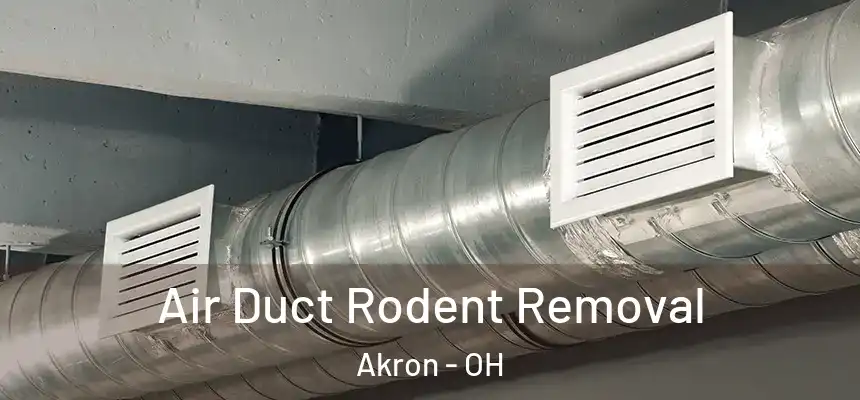Air Duct Rodent Removal Akron - OH