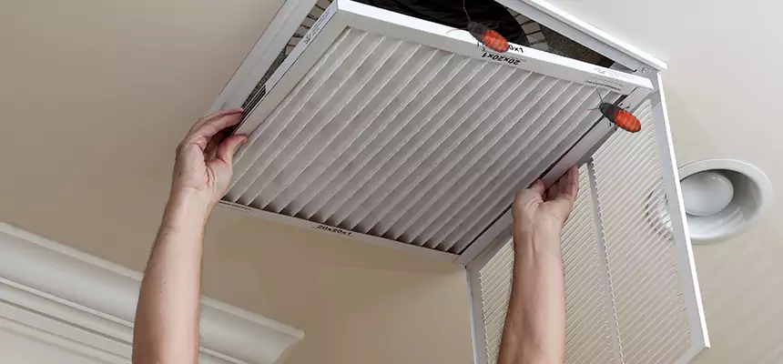 Our Insect Removal from Air Ducts Services in Akron, OH
