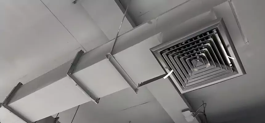 Our Rodent Droppings In Vents Services in Akron, OH