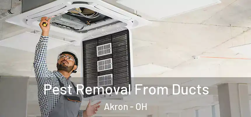 Pest Removal From Ducts Akron - OH