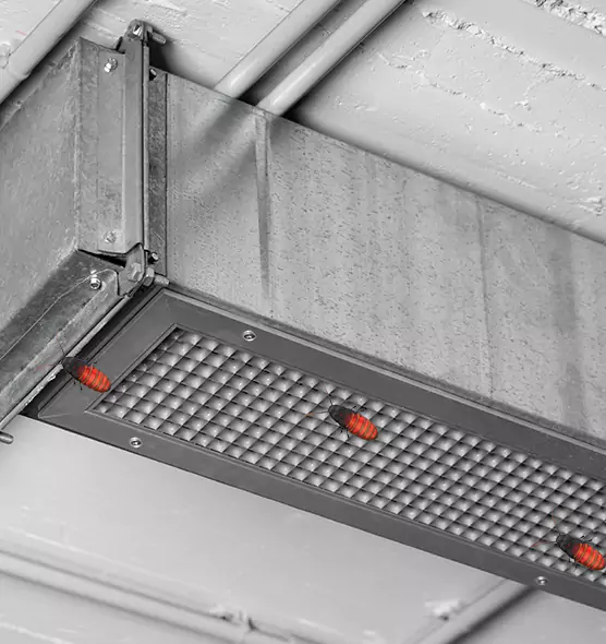 About Air Duct Cockroach Removal in Akron, OH