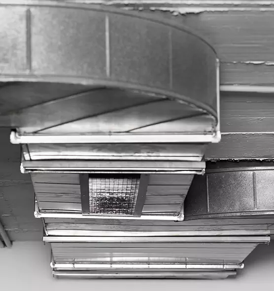 Professional Air Duct Pest Removal in Akron, OH