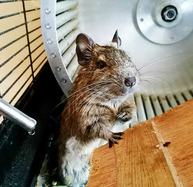 Why Homeowners & Businesses Trust Us Akron, OH